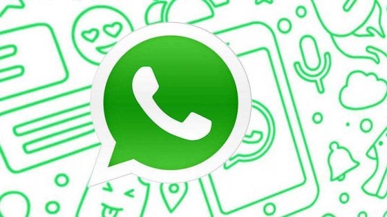 Whatsapp riproduce i video nell’area di notifica